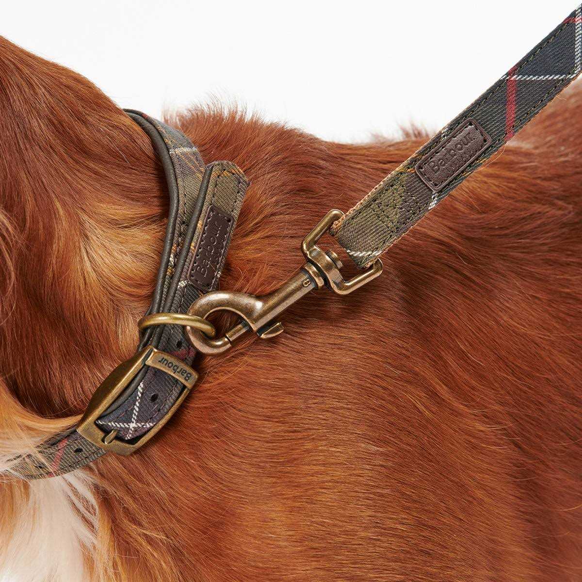 Tartan Webbing Collar J9561