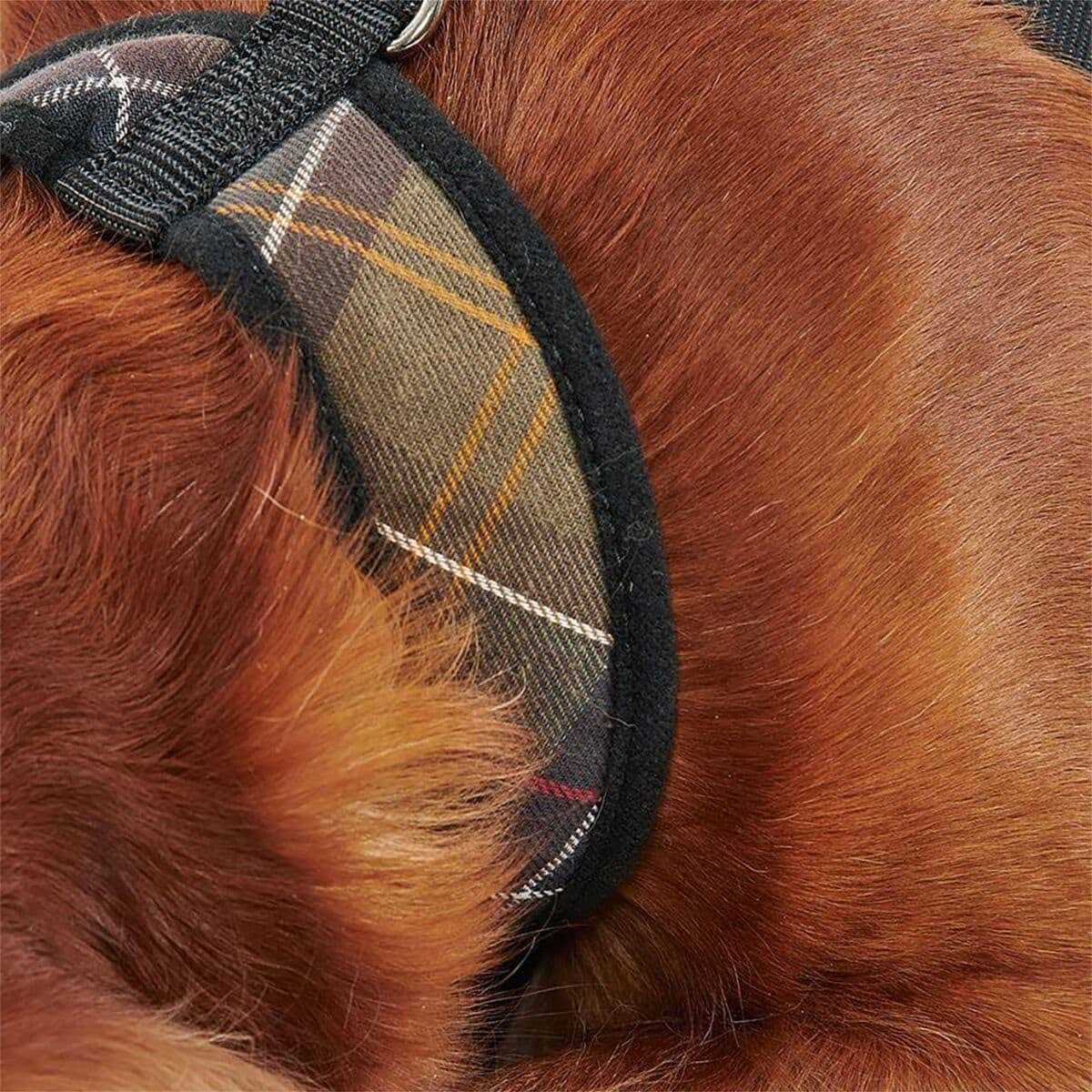 Tartan Dog Harness W1496