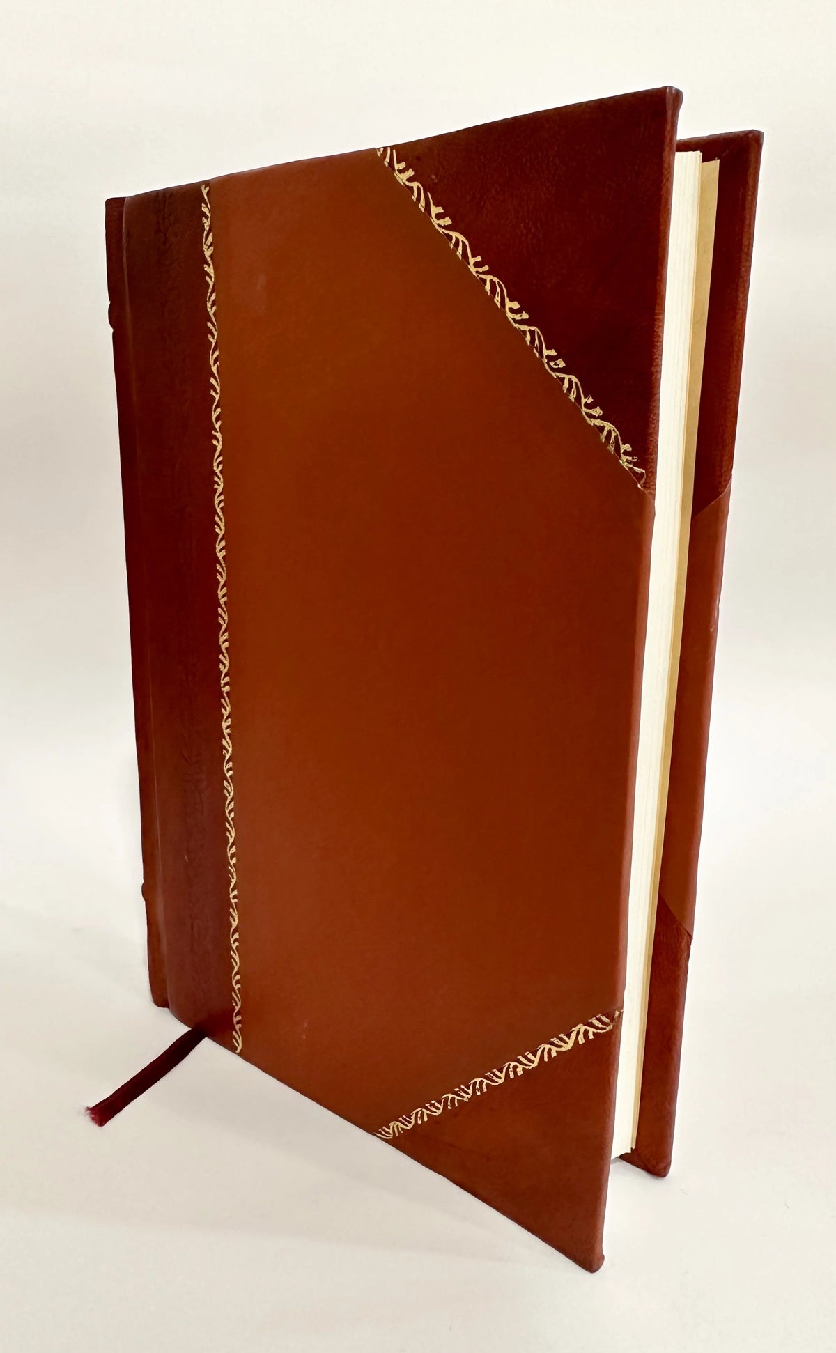 Faded Photograph Leather Bound J184