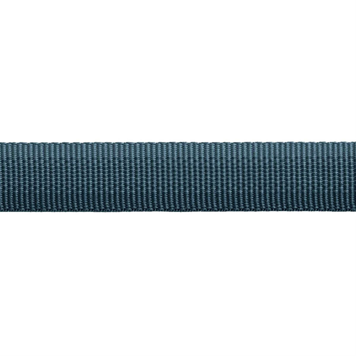 Dog Collar O830