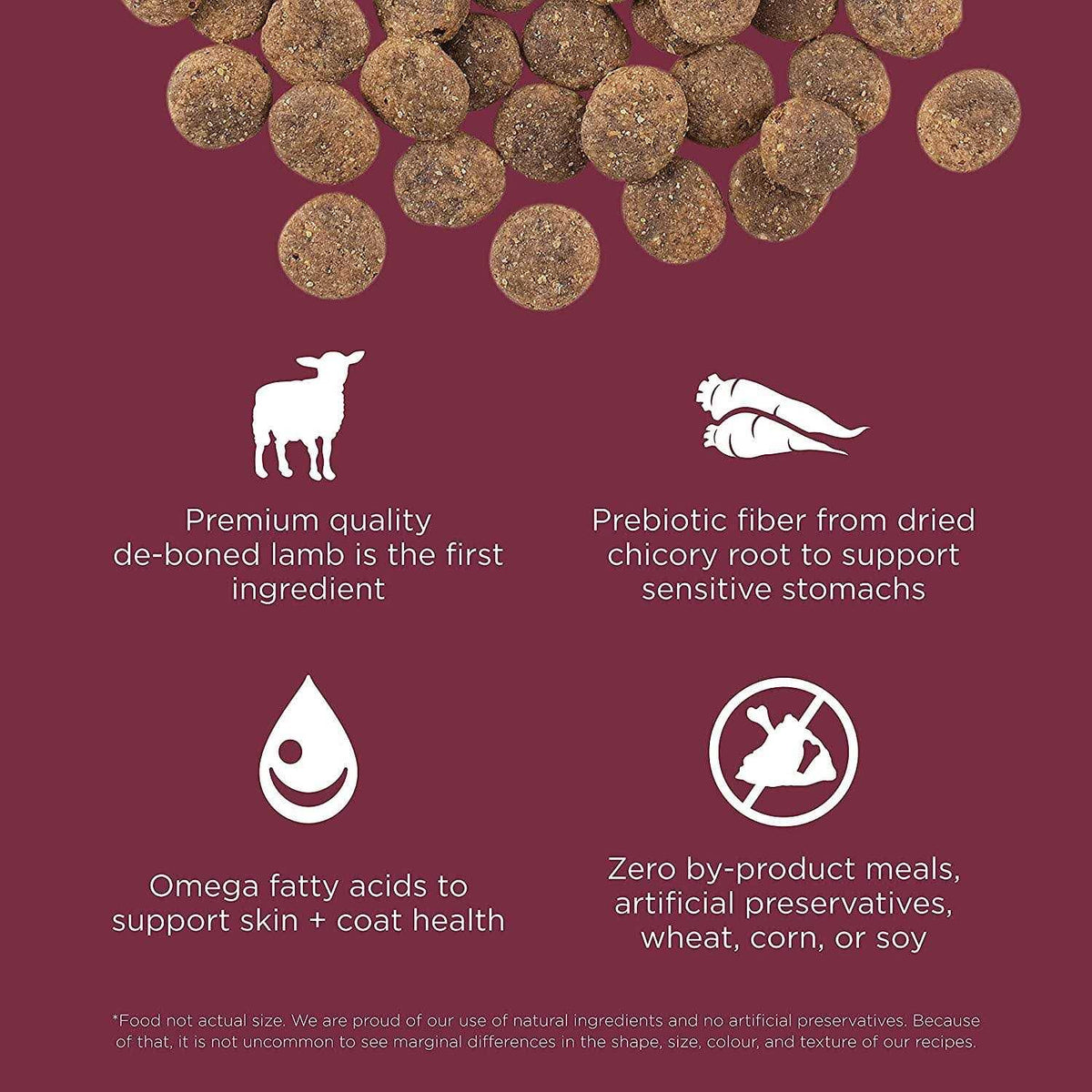 Limited Ingredient Lamb Grain-Free Dry Dog Food X33884