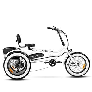 Semi-Recumbent Electric Trike, 85MI, Fat Tire 3 Wheel Electric Bike, 750W 48V 20Ah Electric Tricycle, Green B743960