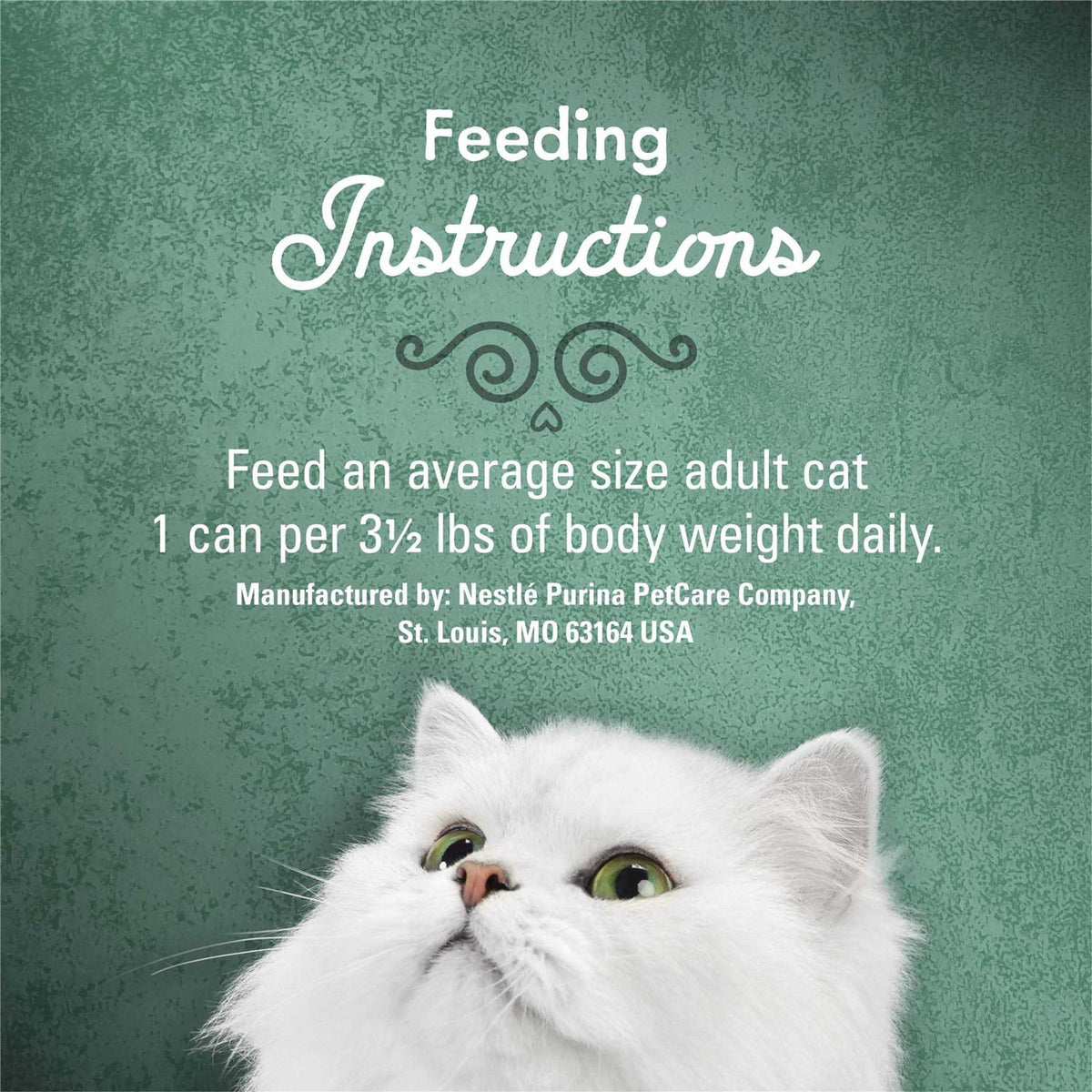 Canned Cat Food Y1831