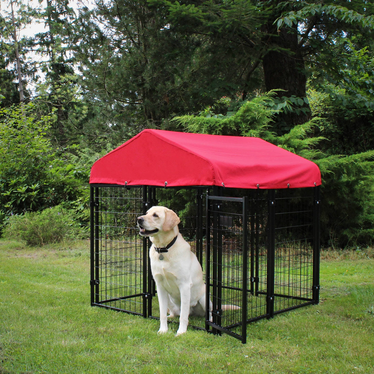 Tahitian Sand Canopy Kennel Cover V8044