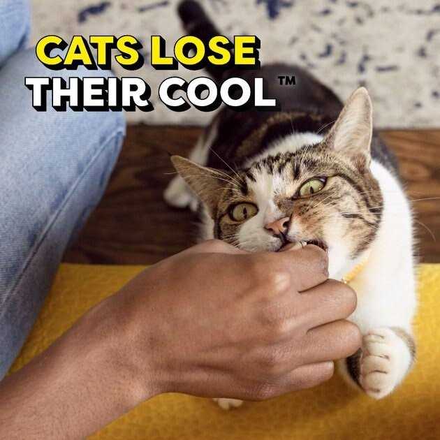 Adult Cat Treats V3473