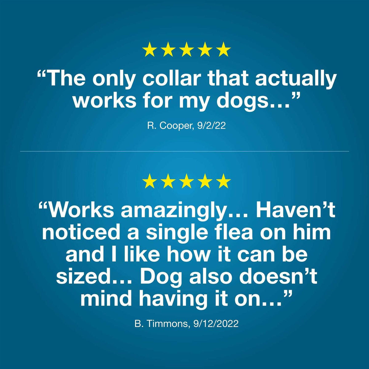 Flea and Tick Collar for Dogs M9958
