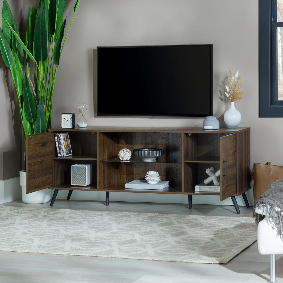 2-Door TV Stand Y281