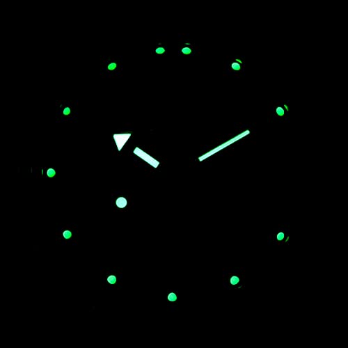 Automatic Wrist Watch T283