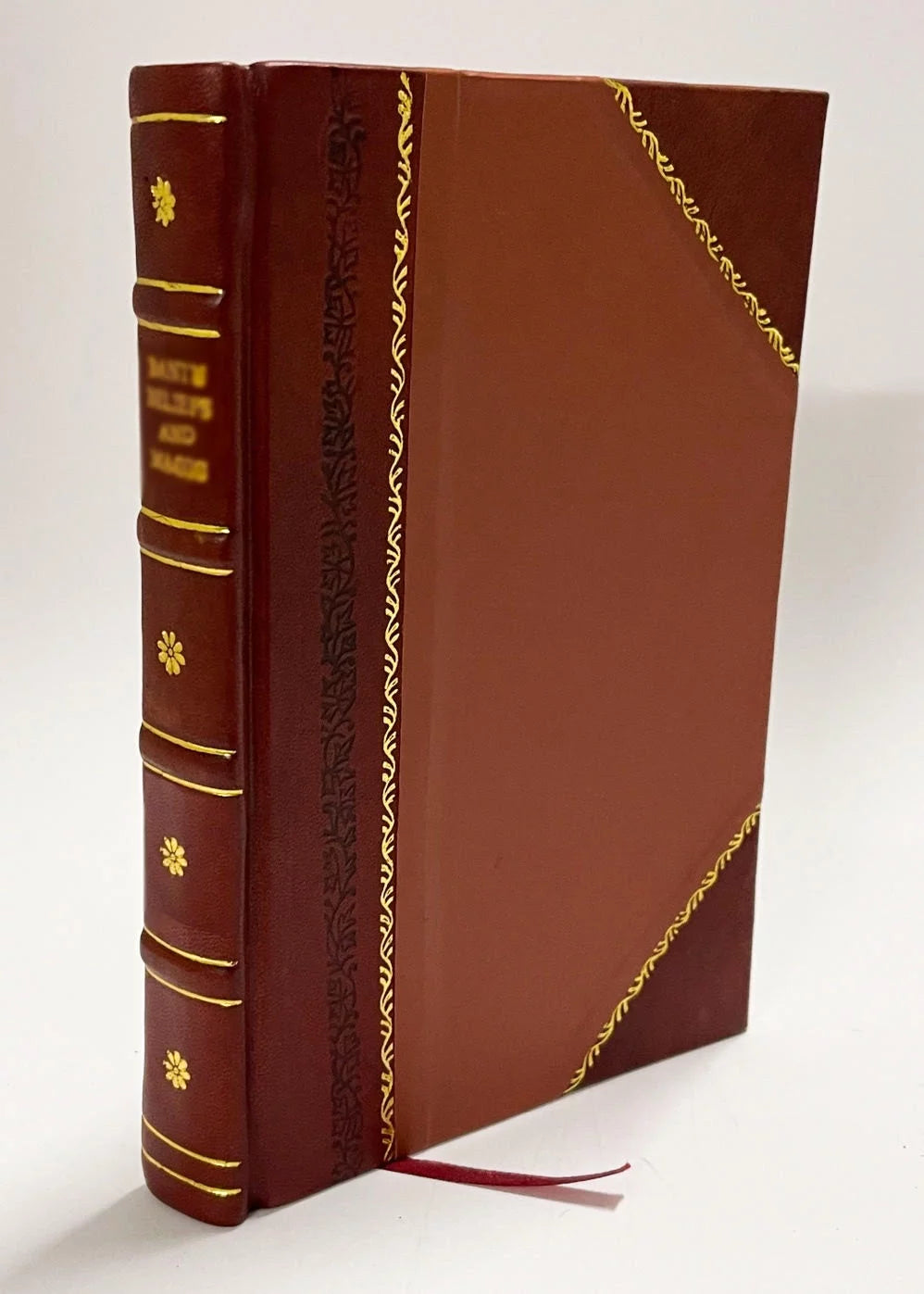 Faded Photograph Leather Bound J184