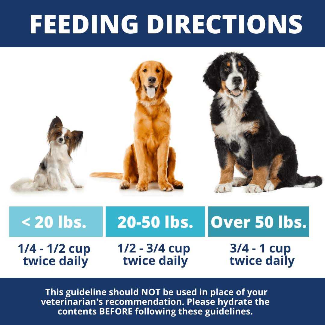 Chicken Rice & Pumpkin Freeze-Dried Dog Food Z41855