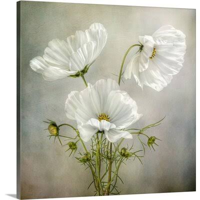 Photographic Print Canvas 24x22 D243