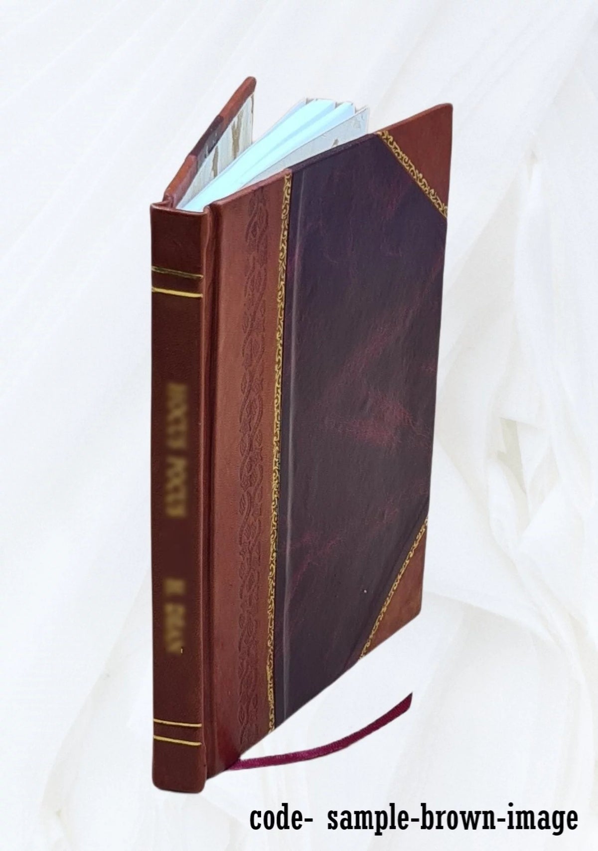 Experimental Chemonuclear In-Pile Research Loop Leather Bound F262