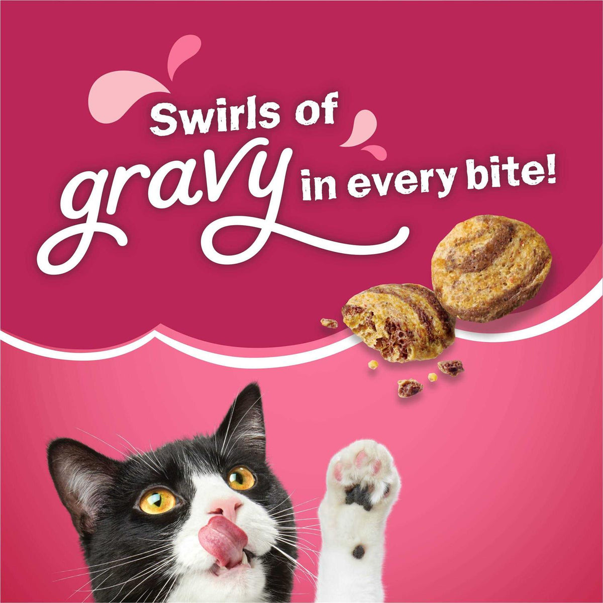 Dry Cat Food Z7546