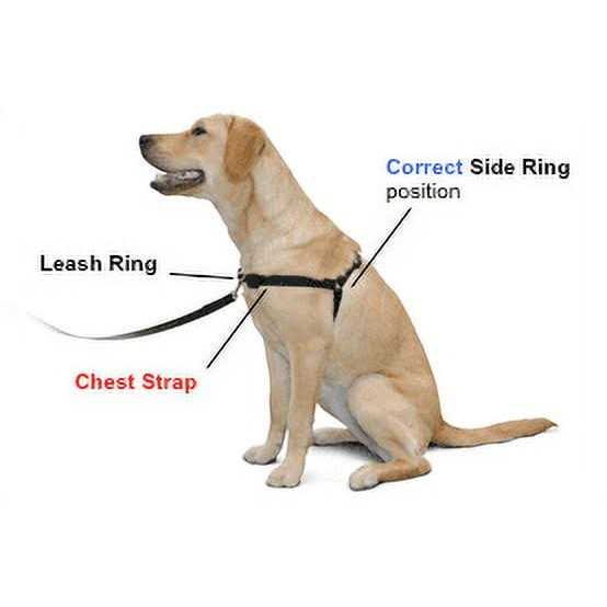 No Pull Dog Harness K417208