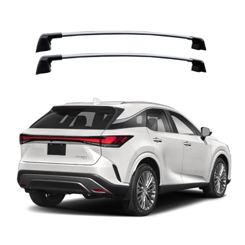 Silver Lockable Roof Rack Crossbars D64903