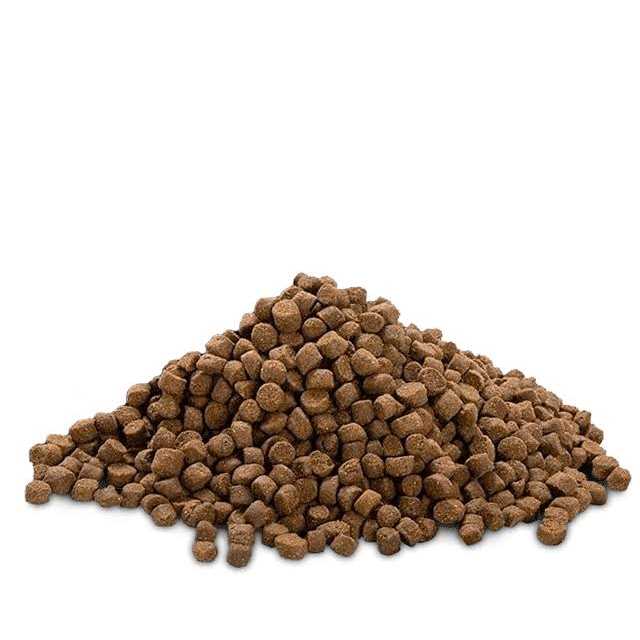 High Protein Low Fat Chicken-Free Lamb Flavor Dog Food Q89082