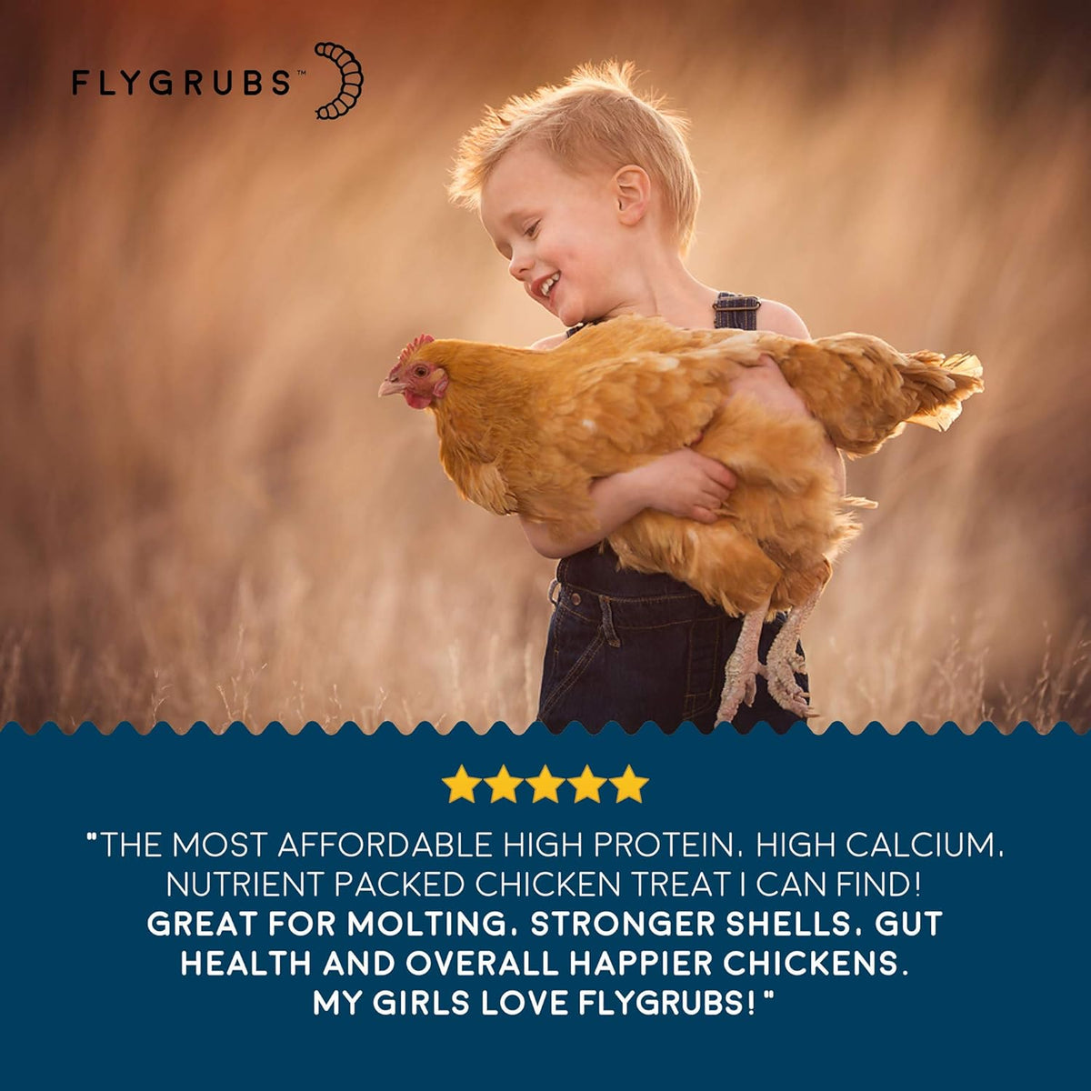 10 lb Non-GMO Chicken Feed Additive Y71523