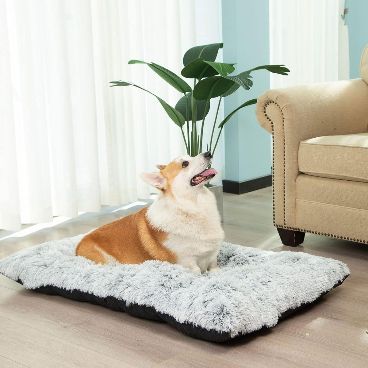 Large Plush Washable Dog Bed with Anti-Slip Bottom A619184