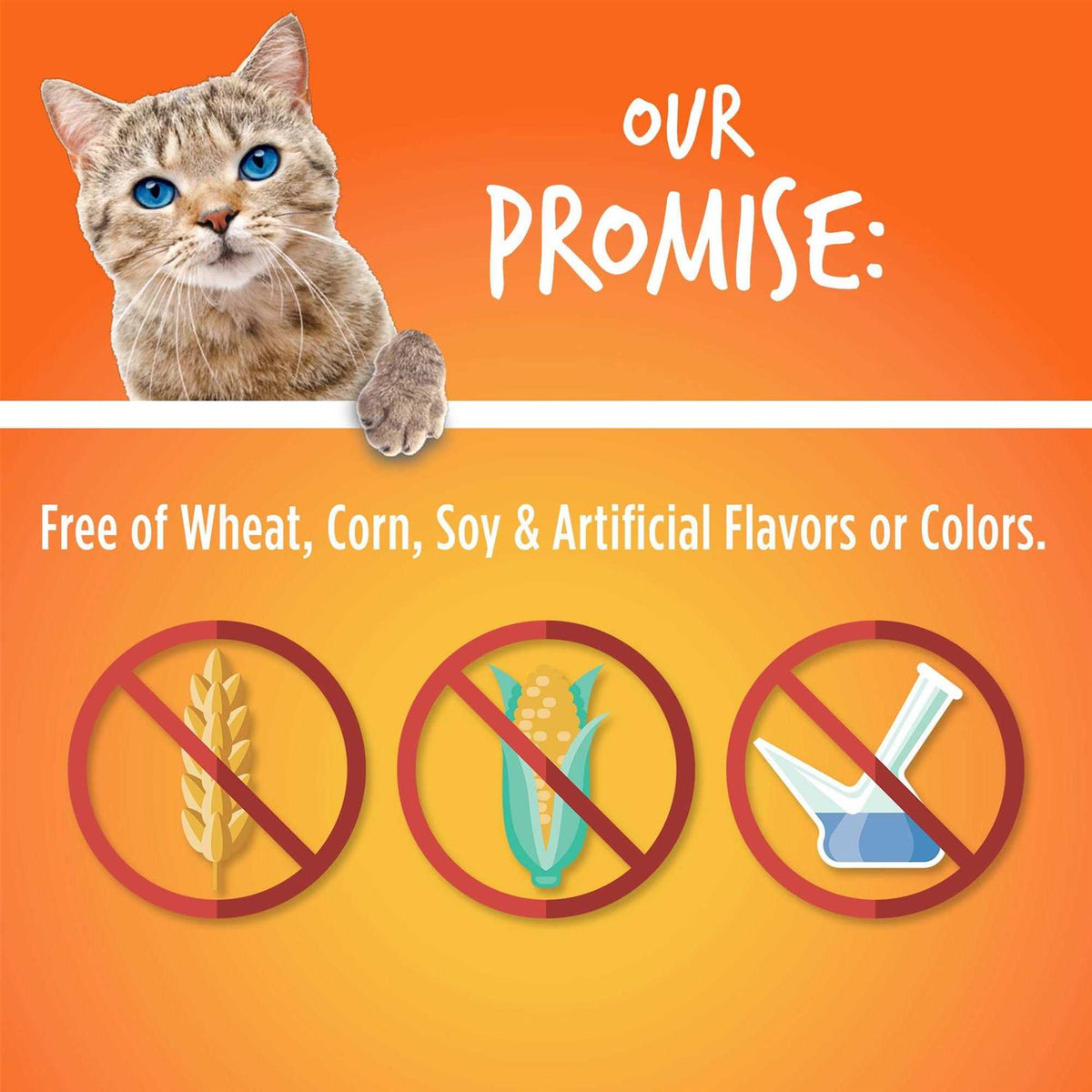 Tuna & Pumpkin Cat Treats D4440