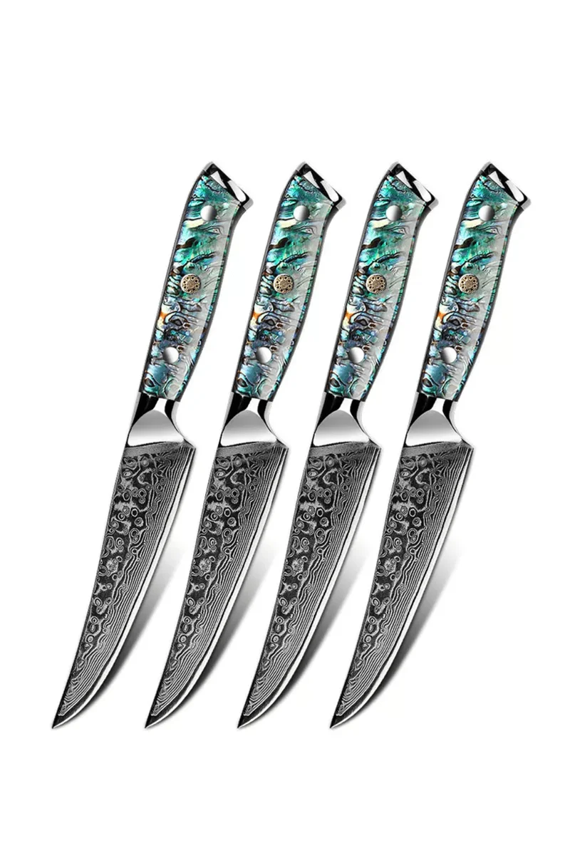 Steak Knife Set Of 4 N313