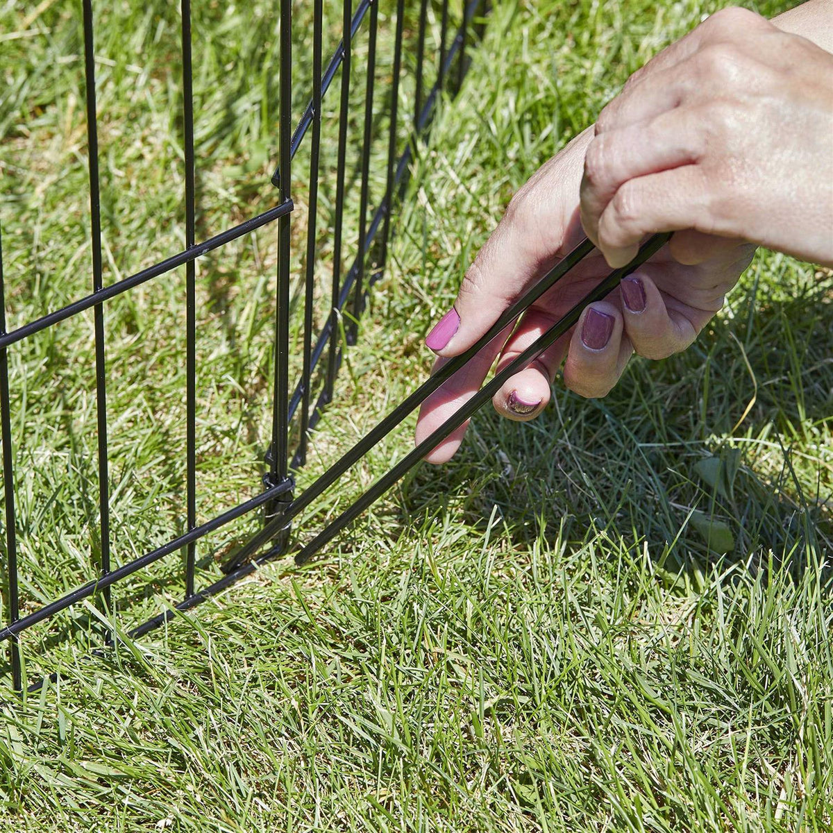 Exercise Pen Ground Stakes O500