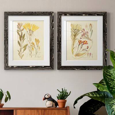 Antique Botanical Sketch Framed Print S5083