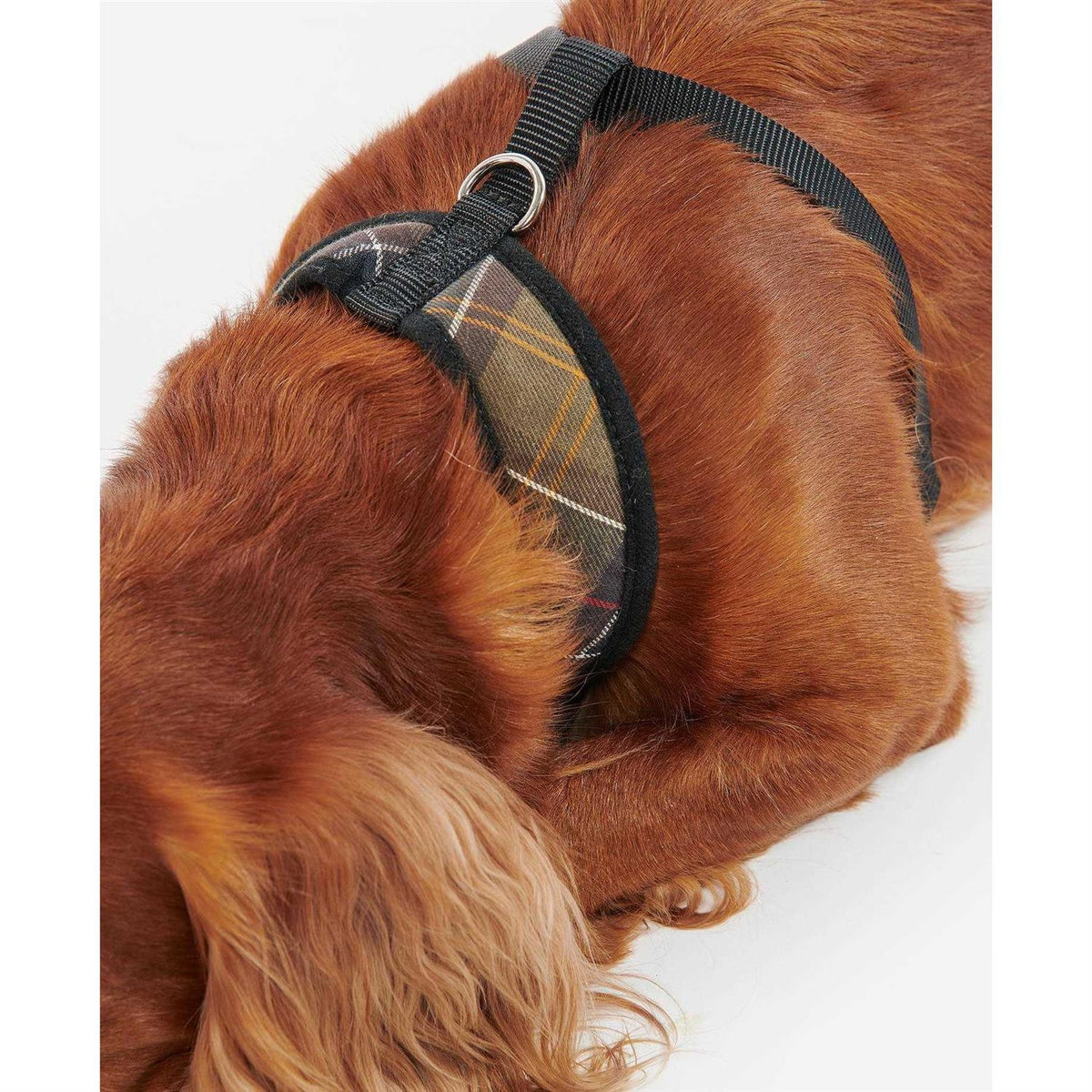 Tartan Dog Harness W1496