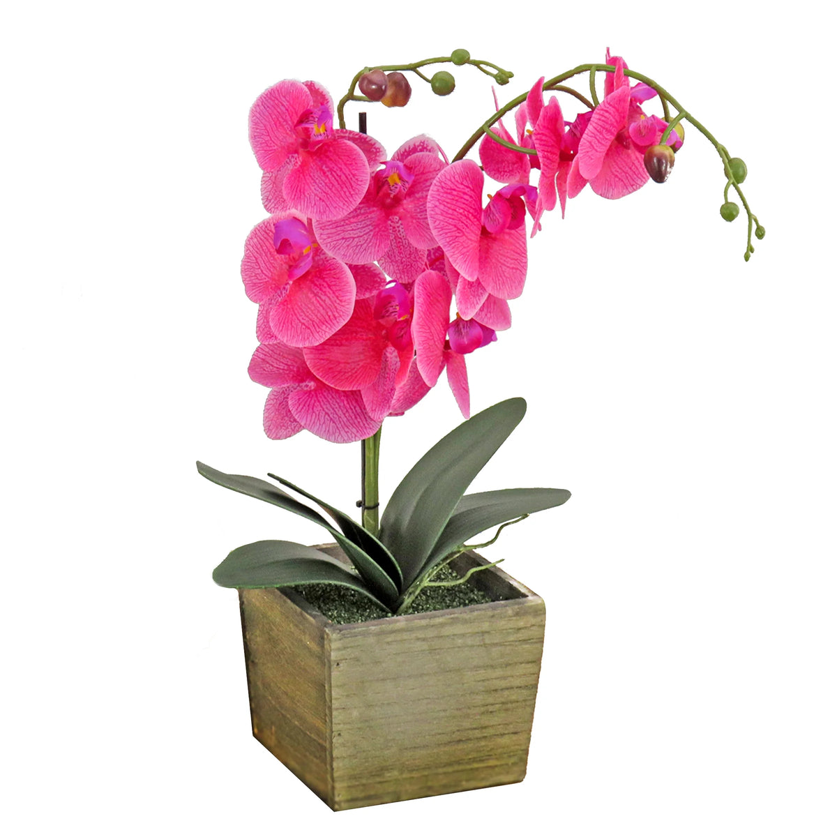21" Purple Orchid Flower in Wood Box I7783