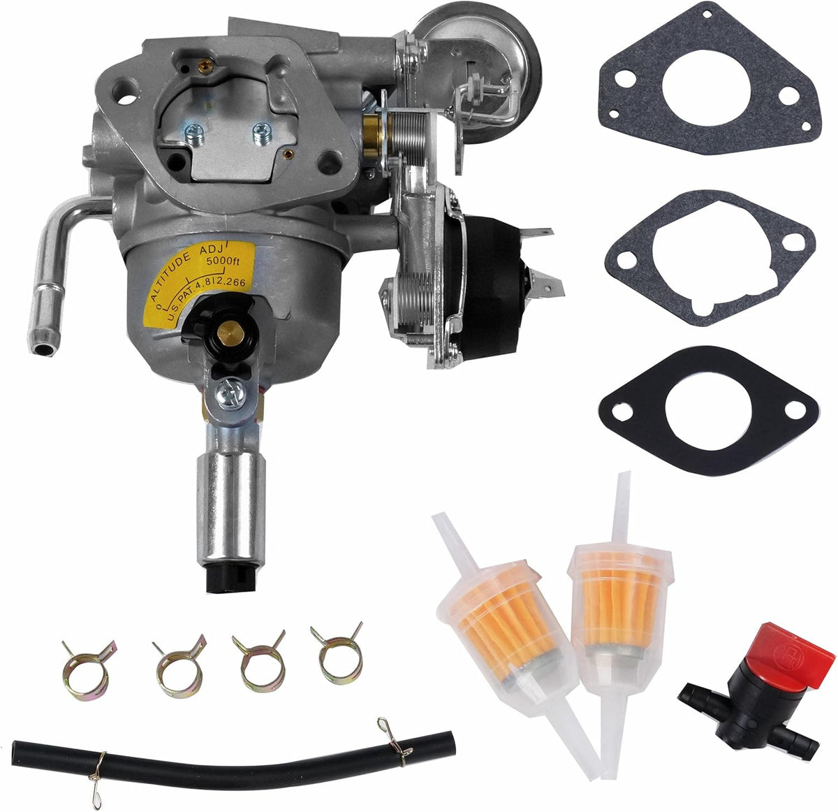 Carburetor with Mounting Gaskets Cleaner Tool Kit Fuel Filter Pack of 2 R360685