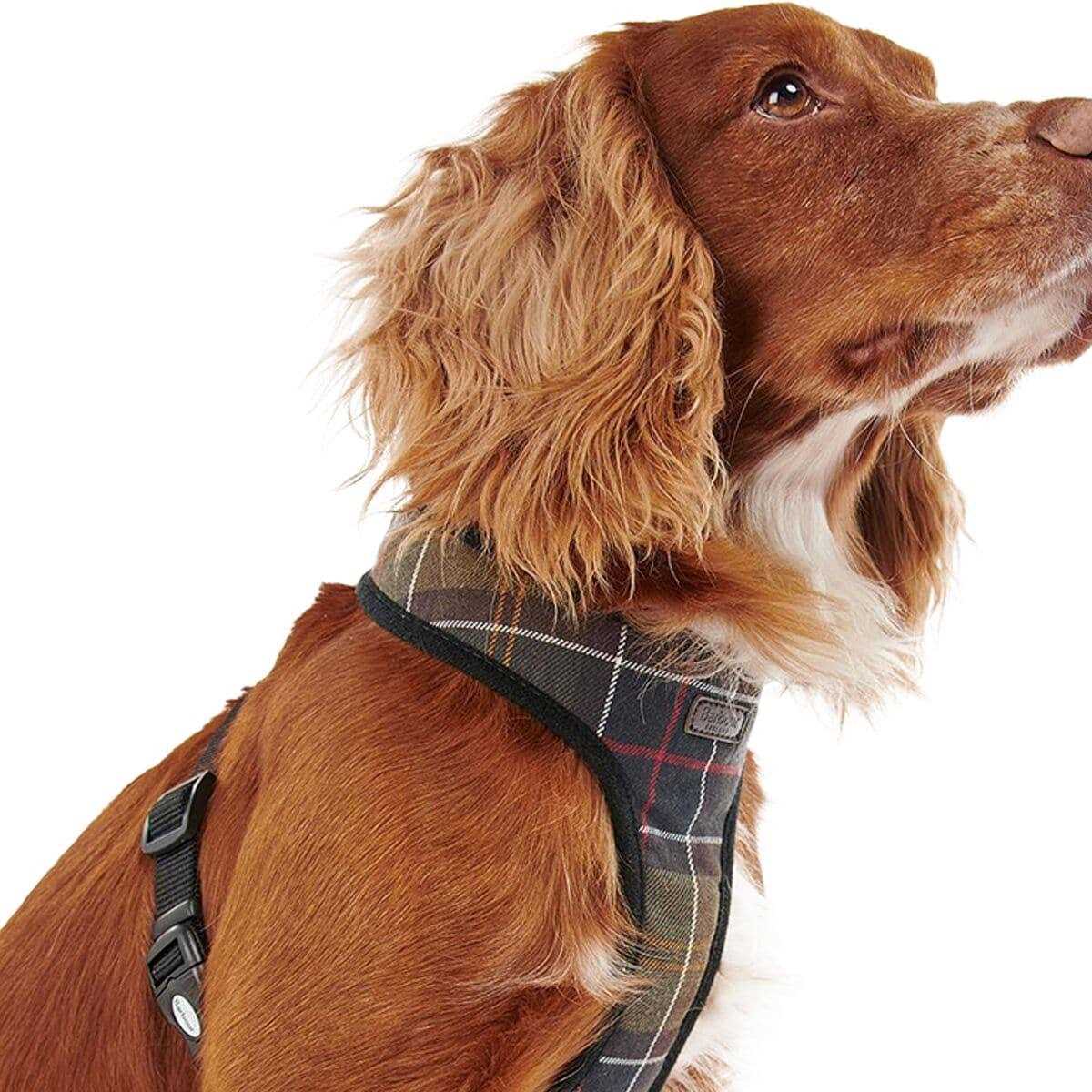 Tartan Dog Harness W1496