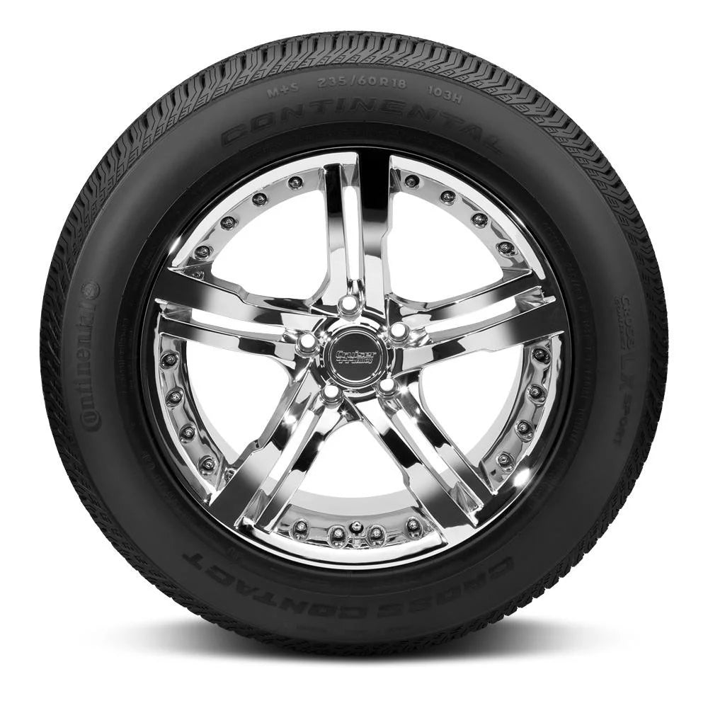 All Season Tire R4180